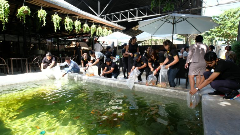 Sonia Residence Jomtien Pattaya Thailand – Fish for Feng Shui